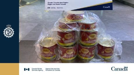 Traveller caught by CBSA carrying 18 kilos of cocaine in cheese cans