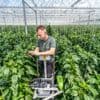 Met een AI-camera plagen én landbouwgif te lijf: ‘We kunnen nu ingrijpen met biologische bestrijders’