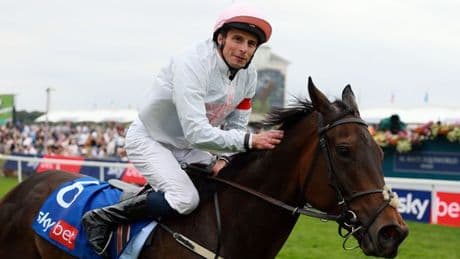 Ethical Diamond made Melbourne Cup favourite after Ebor but Mullins says he won't go