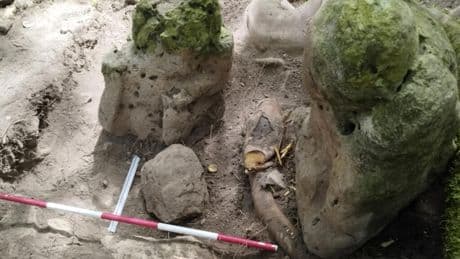 3,000-year-old Mayan city discovered in northern Guatemala