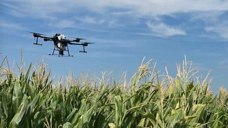 Agriculture de précision : la révolution technologique dans les champs