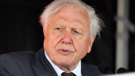 'I watched David Attenborough's new Ocean film – one thing he said left me in tears'