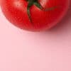 Hoe tomaten hun stuifmeel koel houden? Door een flink potje te zweten