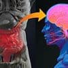 Diet mistake could trigger deadly Parkinson's, study suggests - experts discover new clue about who is most at risk