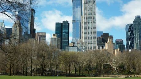 Härtere Einreisekontrollen, günstige Tickets: Was Reisende bei einem USA-Besuch wissen müssen