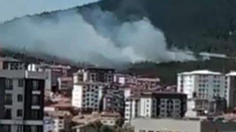 Son Dakika Yangın Haberleri: Aydos Ormanı'nda yangın! Yoğun çalışmanın ardından kontrol altına alındı