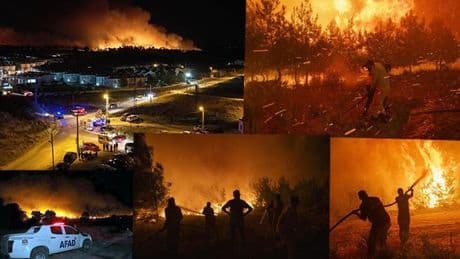 Son dakika... Çanakkale, Hatay ve Edirne'de orman yangını! Müdahale devam ediyor, tahliyeler başladı