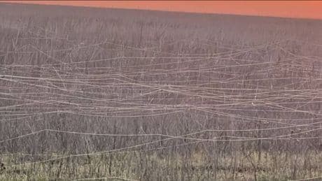 El problema de los drones que nadie esperaba: kilómetros de cables basura inundan el frente