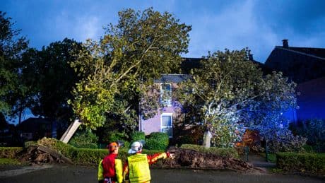 Zahlt die Versicherung bei Sturmschäden? Das sollten Sie wissen