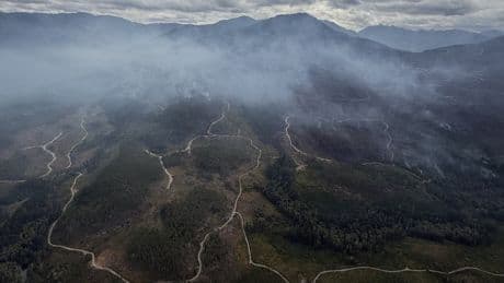 Prolonged B.C. heat wave will increase fire danger, wildfire service says