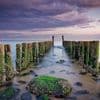 Dynamisch, intiem of een groene oase: 4 topsuggesties voor een weekendje Nederland