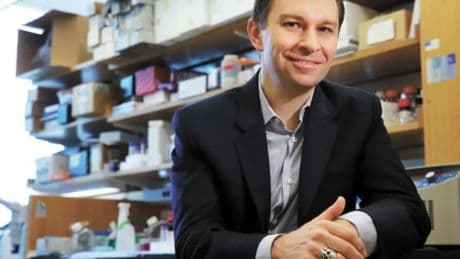 Doctor David Sinclair (Harvard): "Basta una copa de vino al día para dañar tu memoria y acelerar el envejecimiento"
