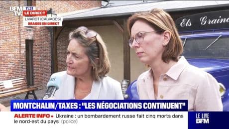 Droits de douane américains: "Nous devons continuer le combat de la négociation", estime la porte-parole du gouvernement Sophie Primas