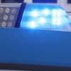Zwei Festnahmen: Polizei beschlagnahmt mehr als 100 Kilo Cannabis in Werder