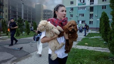 Ces bénévoles ukrainiens qui risquent leur vie pour protéger des animaux