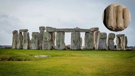 Un diente de vaca hallado en Stonehenge ayuda a descifrar los misterios de su construcción