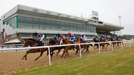 Newsboy’s horseracing tips for Monday's four meetings, including Wolverhampton Nap