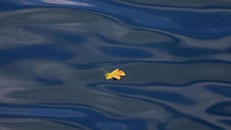Urlaub: Tourismusverband MV bereitet sich auf den Herbst vor