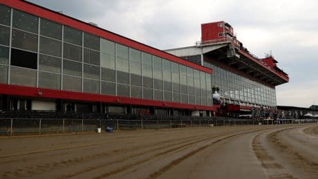 Preakness Stakes 2025: Picks and predictions from the experts