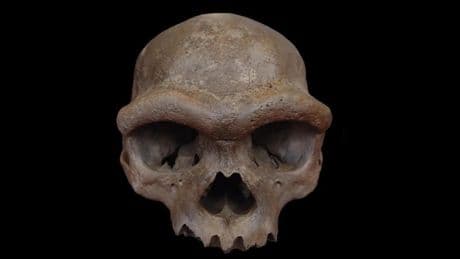 Un grupo de paleontólogos chinos resuelve el enigma de los denisovanos