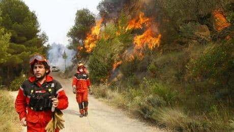 Incendies en Espagne : Pedro Sanchez réclame un pacte sur l’urgence climatique