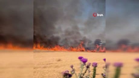 Susurluk-Bandırma kara yolunda tarla yangını