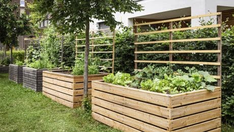 Der clevere Trick für faule Gärtner: Diese Beet-Methode spart Zeit und Kraft