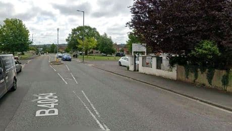 Dog walker seriously injured after 'storm-damaged tree' crushes him