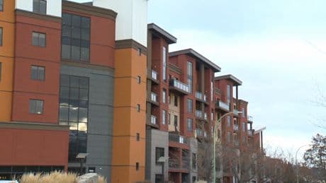 Short-term rental restrictions blamed for Kelowna’s soft tourism season