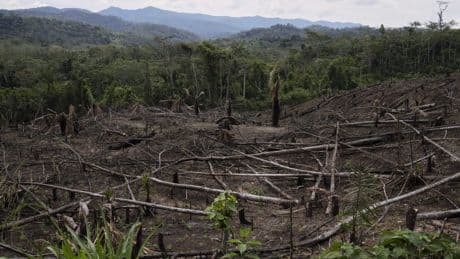 Cuts to USAID severed longstanding American support for Indigenous people around the world