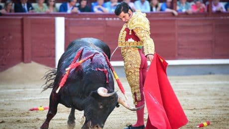 Un presidente ignaro escupe sobre la historia viva del toreo: Morante y la faena de San Isidro ninguneados por el palco de Las Ventas