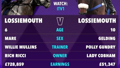 Confusion reigns as two horses with same name set to run in £80,000 ‘battle of the ages’ at Sandown