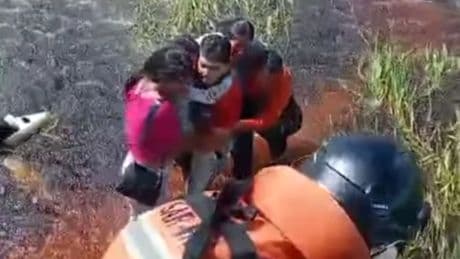 Five people survive 36 hours surrounded by alligators after plane crashes into swamp