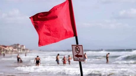 Blue dragon invasion forces closure of more beaches in Spain