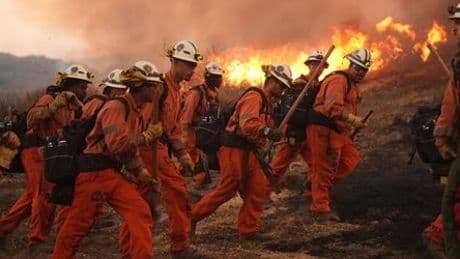 Kalifornien: Neuer Waldbrand nahe Los Angeles breitet sich rasant aus