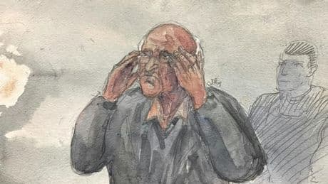 Procès de Joël Le Scouarnec: une peine de 20 ans de prison requise contre l'ex-chirurgien