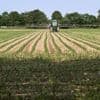 La proposition de loi Duplomb va aggraver l'exposition aux pesticides des agriculteurs et riverains, alerte la Ligue contre le cancer
