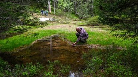 Alpes : la justice se prononce contre une nouvelle retenue d’eau pour fabriquer de la neige artificielle à La Clusaz