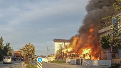 Pendik'te palet fabrikasında korkutan yangın