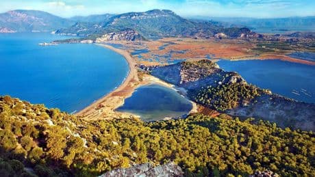 Muğla İztuzu Plajı'nda carettaların yuva sayısı 100'e ulaştı