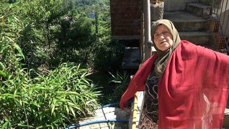 Rusya’dan getirdiler, mahalle aralarına diktiklerine pişman oldular! Köylü önünü alamıyor: Her yeri sardı