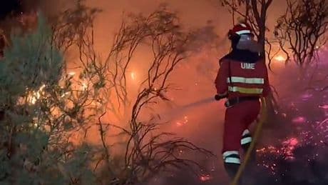 Waldbrände in Spanien wüten weiter – über 1000 Menschen evakuiert