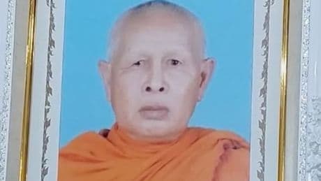 Buddhist monk stung to death by swarm of hornets while feeding wild animals in Thailand