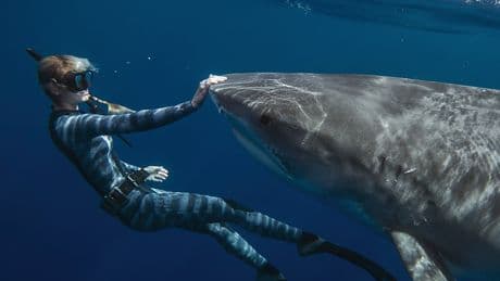 “Shark Whisperer” Villainizes Native Hawaiians Like Me