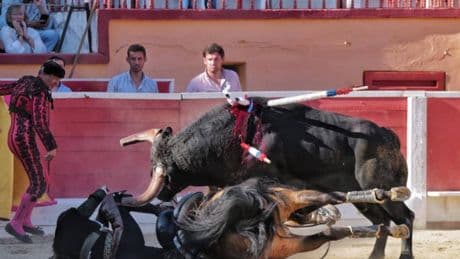 Sobrecogedora cogida de Diego Ventura en la corrida de Montijo