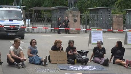 Getötete Paviane in Tiergarten verfüttert – „Wie ein Hochsicherheitstrakt“