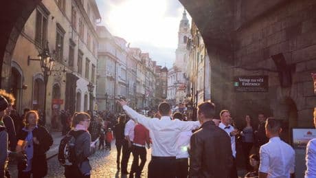 Warning as popular stag do hotspot hit by potentially fatal ‘yellowing disease’ that’s ‘spreading fast’ infecting 450