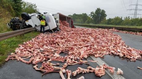 Unfall: Umgekippter Lkw verteilt Fleischreste über Autobahn