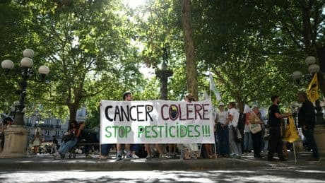 Santé : la France doit revoir ses procédures d'autorisation des pesticides
