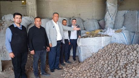 Patates depolarda çürüdü, çiftçi borç içinde